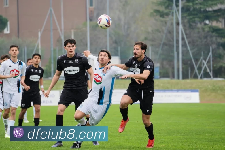 大福娱乐城官网平台生态图